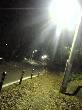 V6010039.jpg